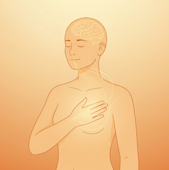 Прикосновение — это не просто чувство кожи. Это сообщение центру управления: «Всё в порядке».