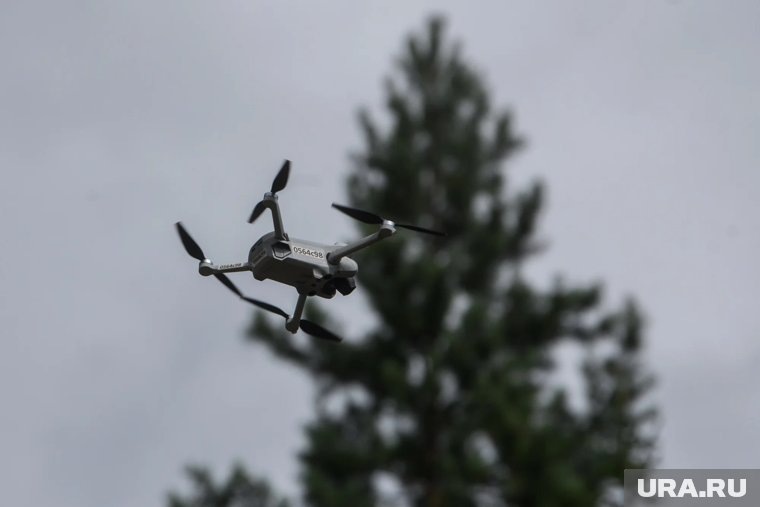    Истории, как россияне сбили БПЛА, услышав их звук ночью на даче, неоднократно появлялись в сети