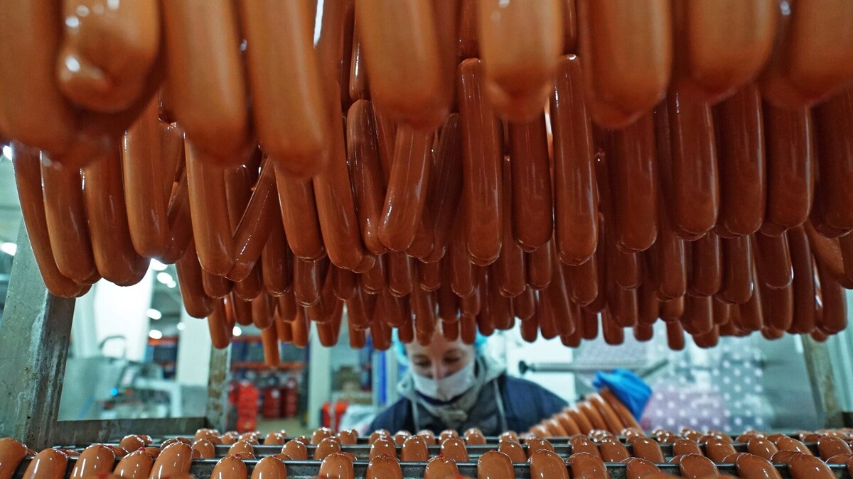 Фото: © РИА Новости / Игорь Зарембо