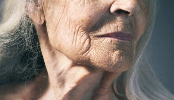 Яндекс Картинки