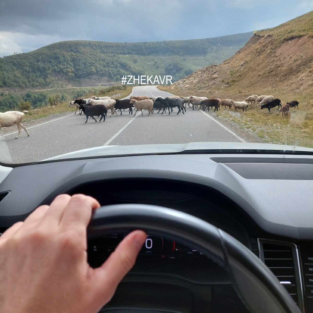 1 из 3 (По дороге в урочище Джилы-Су.)