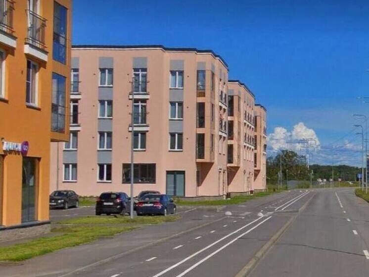     За свой подвиг гвардии рядовой Тимошинин был посмертно награждён орденом Мужества и похоронен на Стрельнинском кладбище. Фото: пресс-служба Смольного