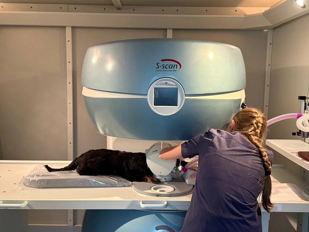    Фото: Управление ветеринарии Белгородской области