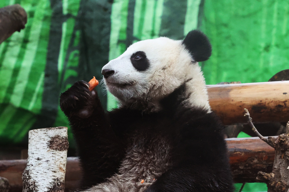    Алексей Белкин/NEWS.ru