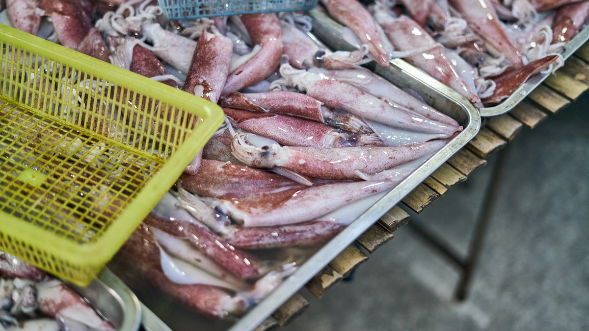     Philip Waern/Unsplash