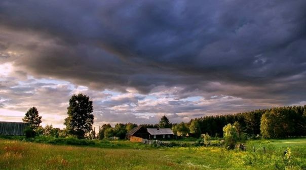 Картинка из интернета для иллюстрации