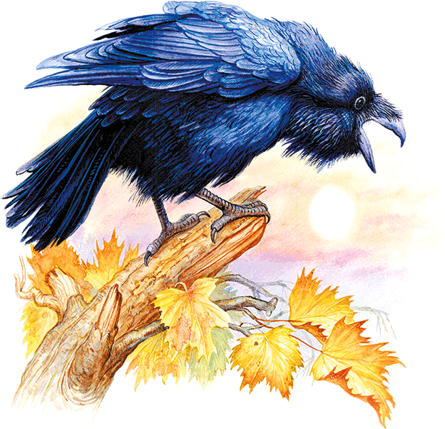 gas-kvas.com Николай Сладков Вещий Ворон по кичке Симург