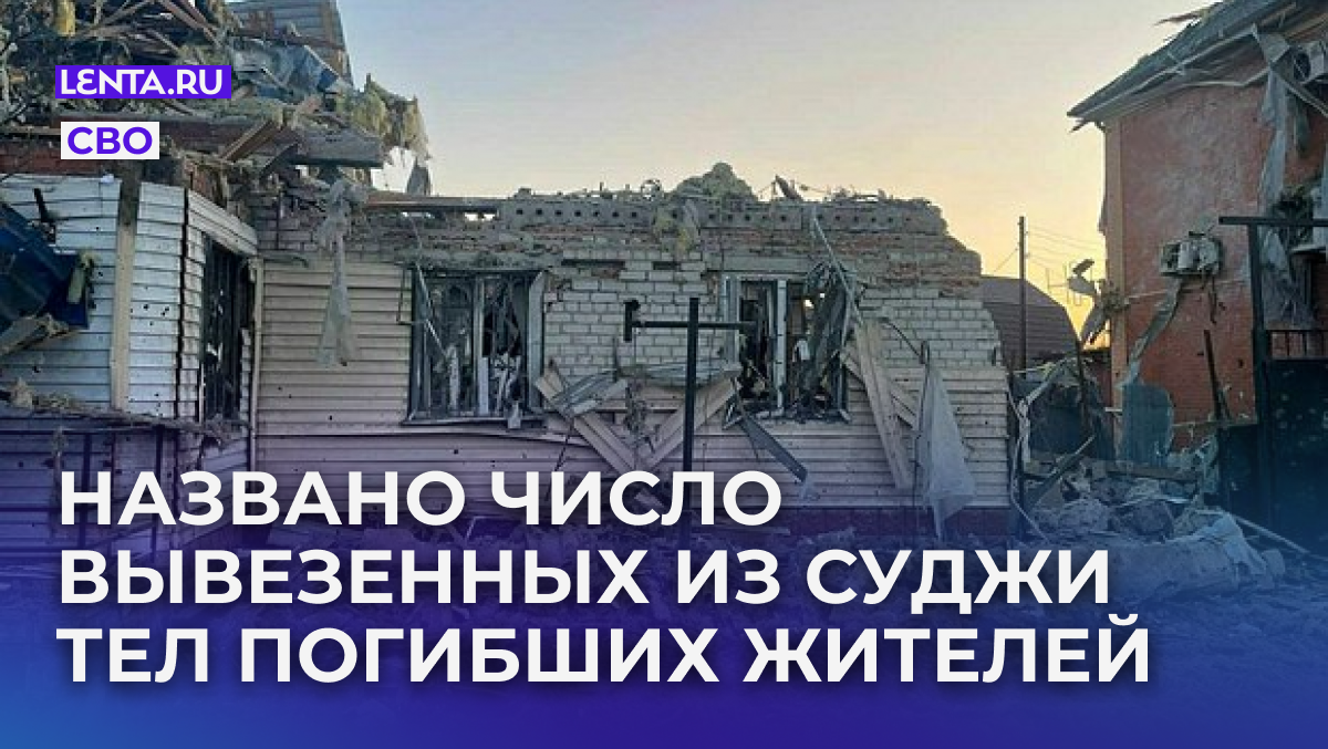 Фото: t.me/gubernator_46 / Global Look Press
