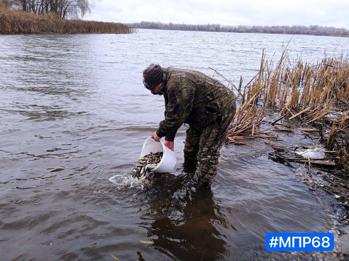 Сазана выпустили в рамках государственного контракта по ремонту ГТС
