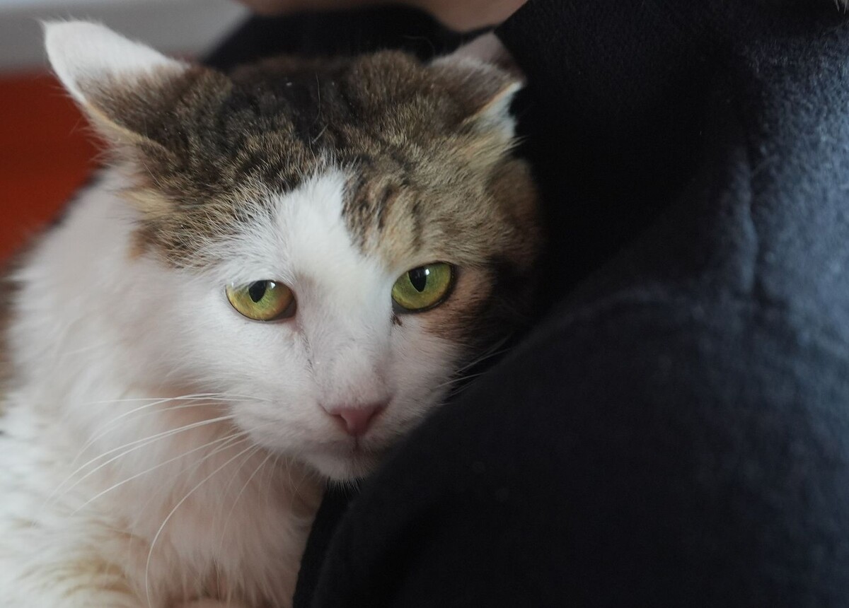     / Источник: © ИЗВЕСТИЯ/Павел Волков