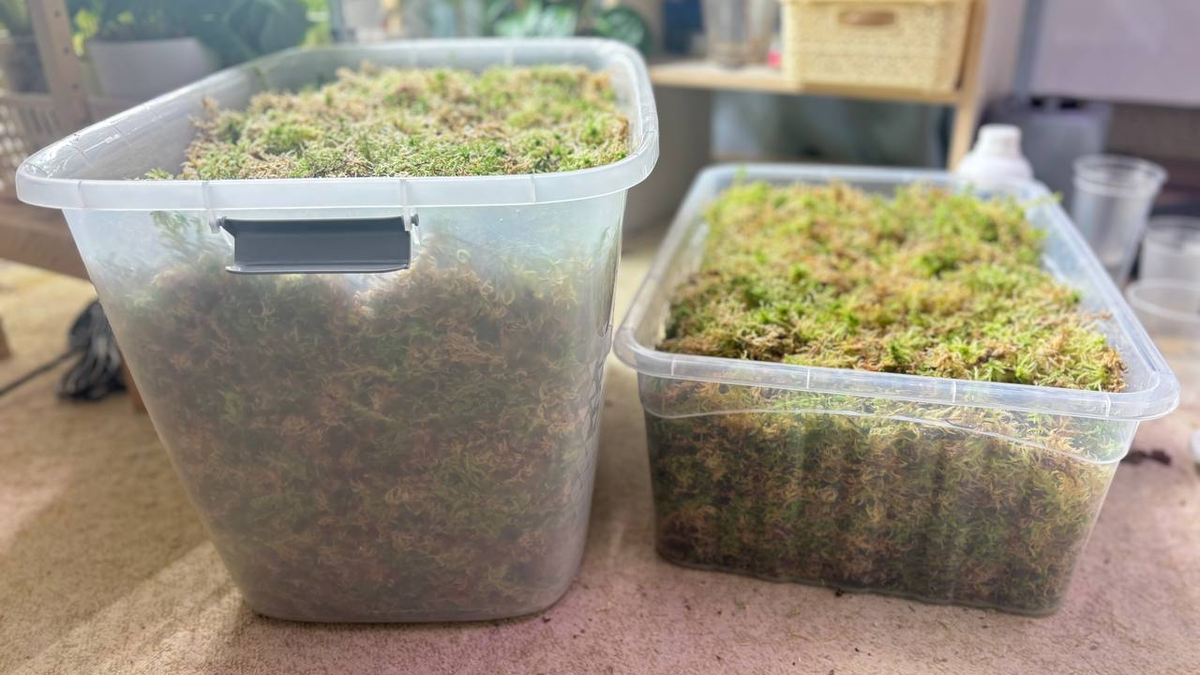 Контейнеры на 70 и 30 литров