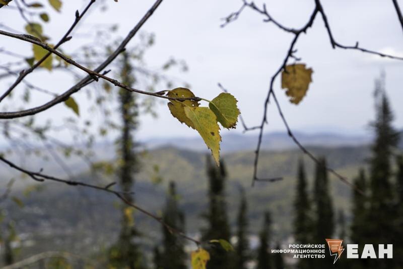 Челябинскую область этой ночью накроет сильный мороз