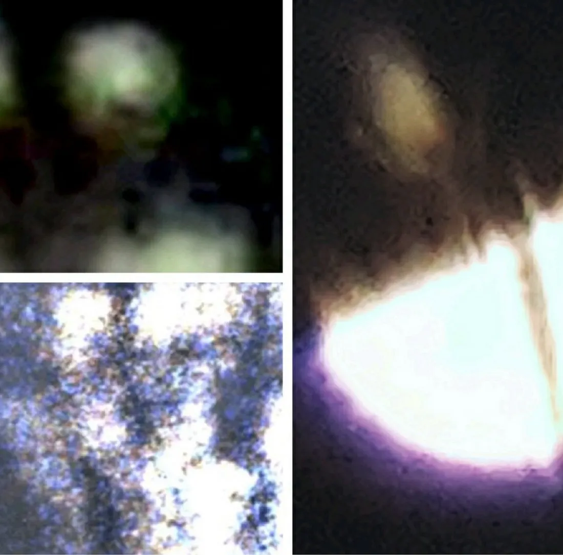 Фотографии Дороти Иззат