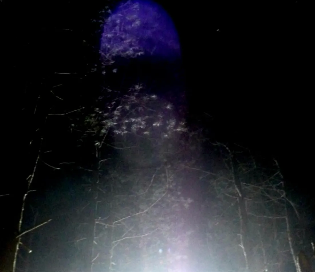 Фотография Дороти Иззат