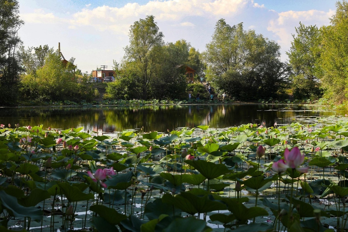    Фото: Александр Куликов, источник: riac34.ru