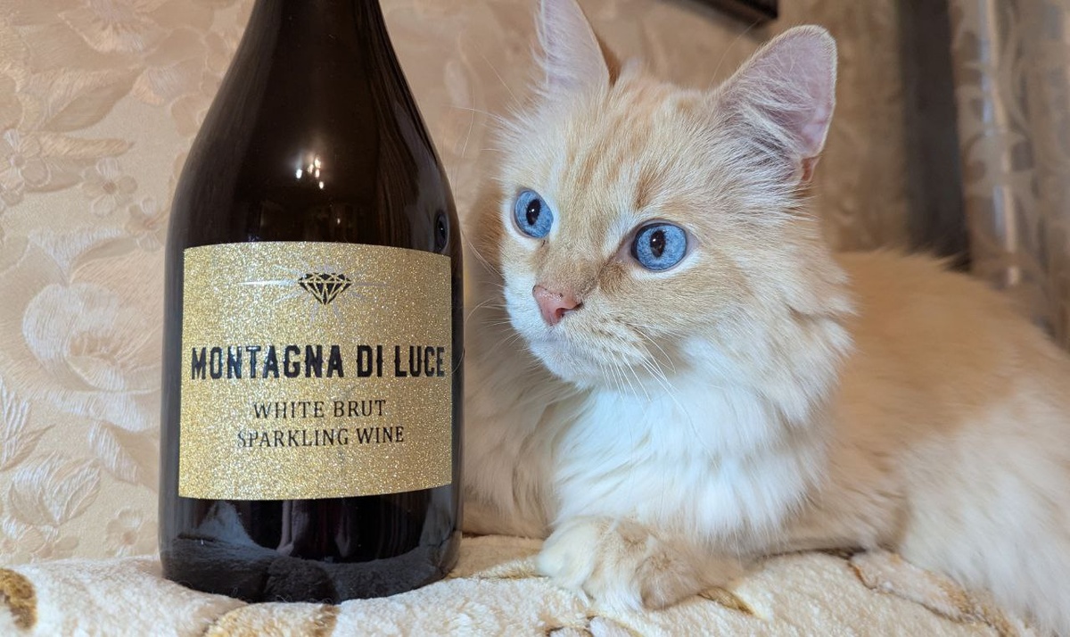 Армянское игристое Montagna Di Luce