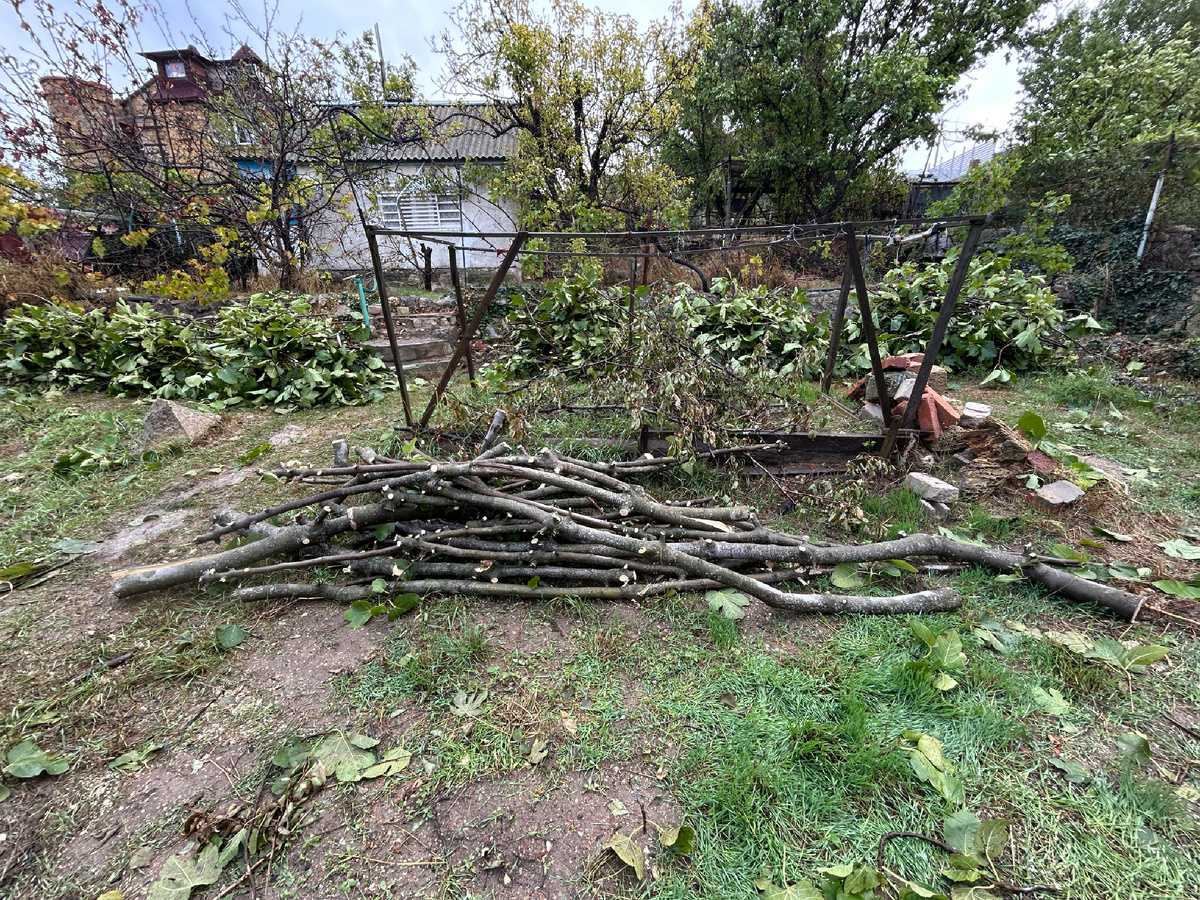 На всём участке требуется навести порядок: разобрать старые конструкции, омолодить деревья, посадить новые и пр.