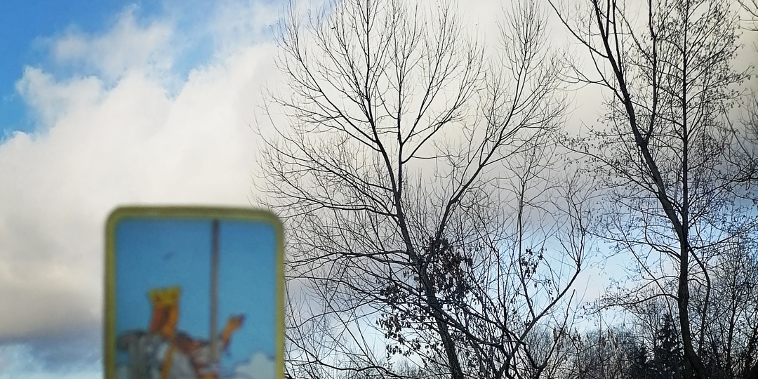 Его следующий шаг