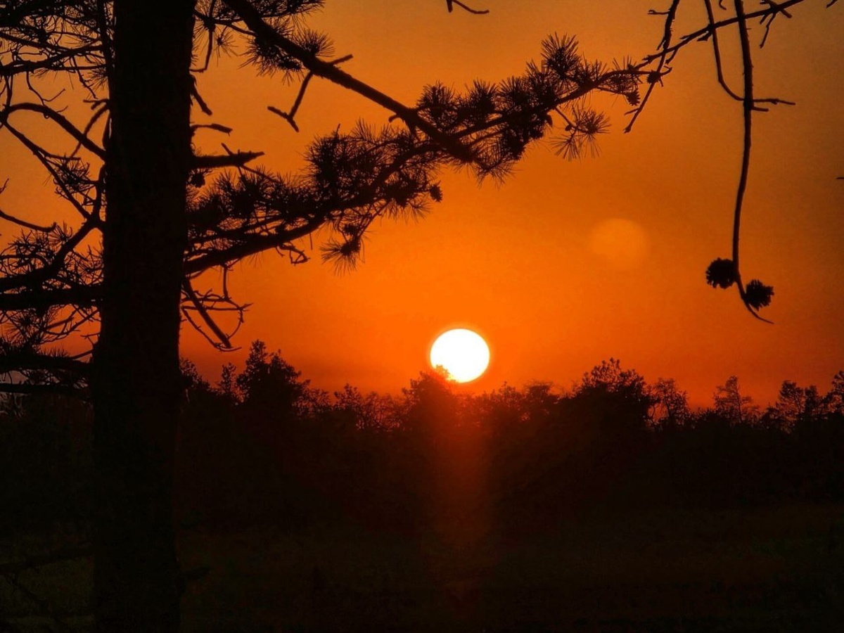    Фото: REGIONS/Анастасия Широкая