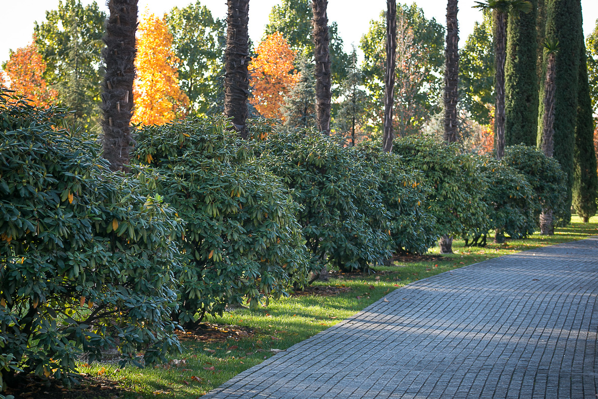 В галерее несколько фото, листайте. Автор фото Елена Якимова / Greenfingers