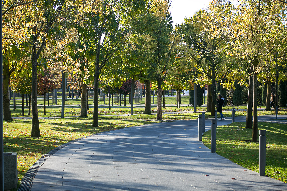 В галерее несколько фото, листайте. Автор фото Елена Якимова / Greenfingers