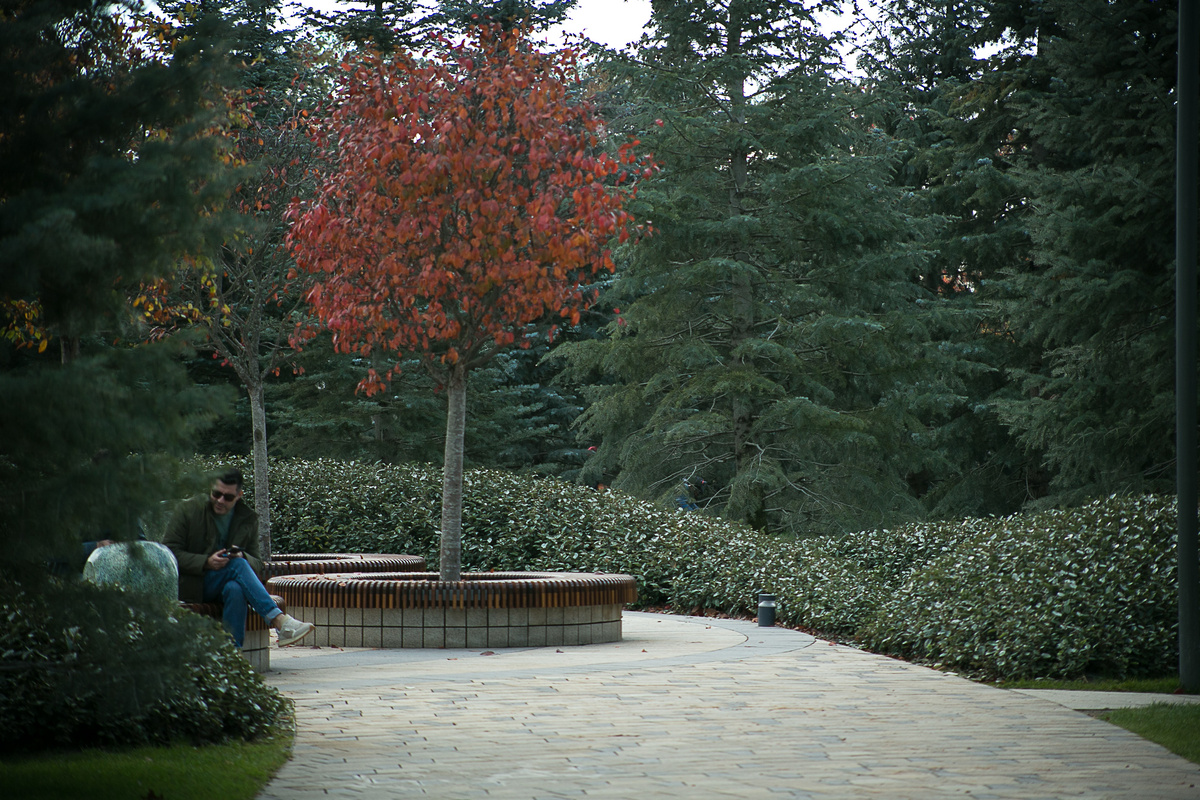Автор фото Елена Якимова / Greenfingers