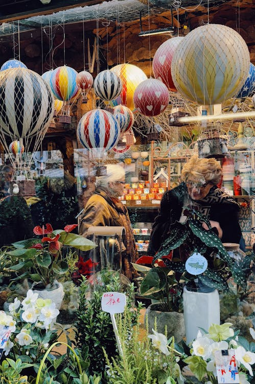 Леди в Париже