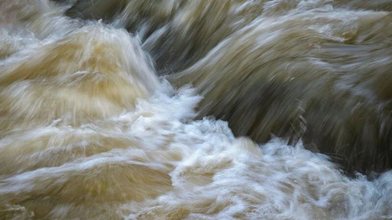    Фото: Jozef Jankolai/Shutterstock/Fotodom