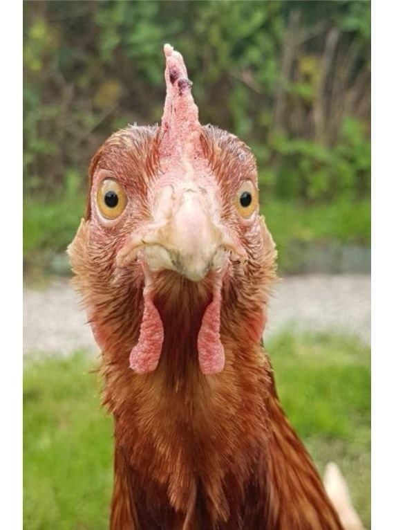 У меня было такое же лицо