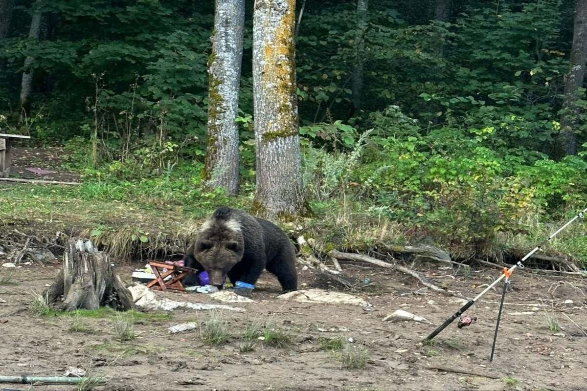    Фото: страница Андрея Назарова в соцсетях, источник: resbash.ru