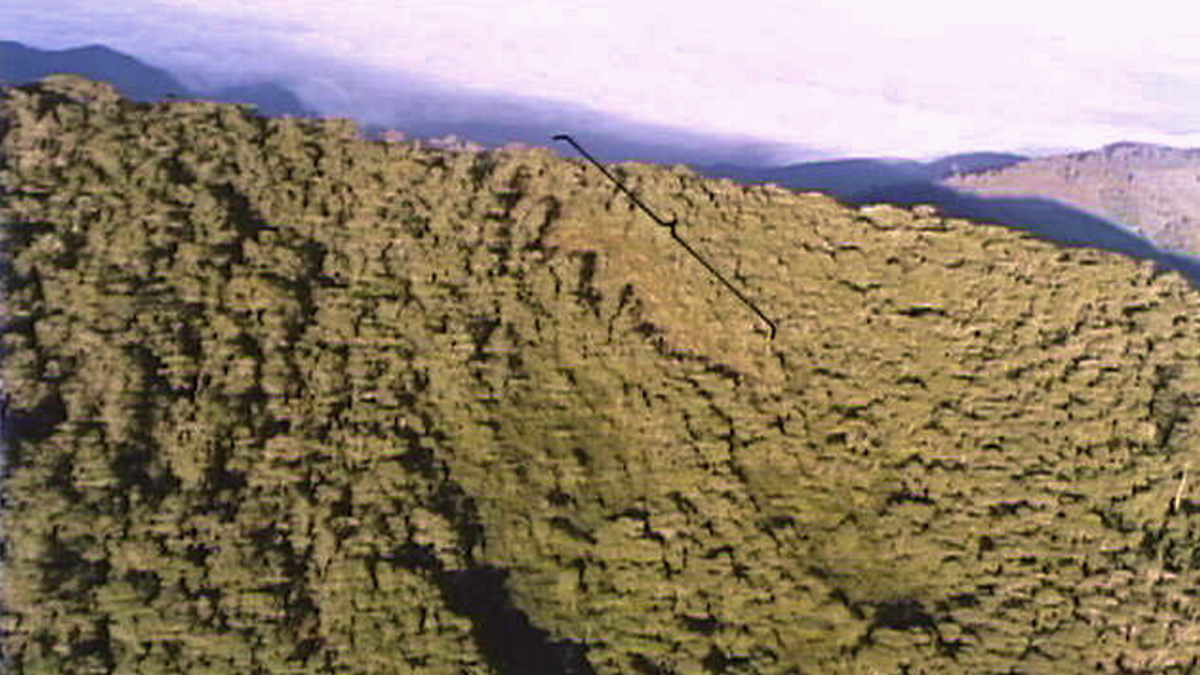 Первоначальный район падения самолёта на восточном склоне горы.