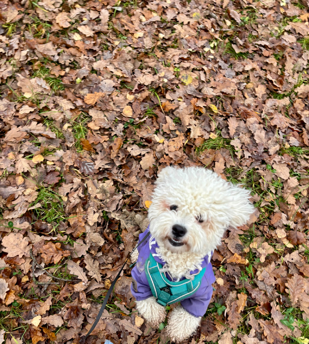 Эти милые глаза 😁