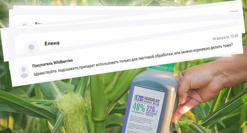 ❓Как лучше подкармливать Фульвохелатом: листовые или корневые подкормки?