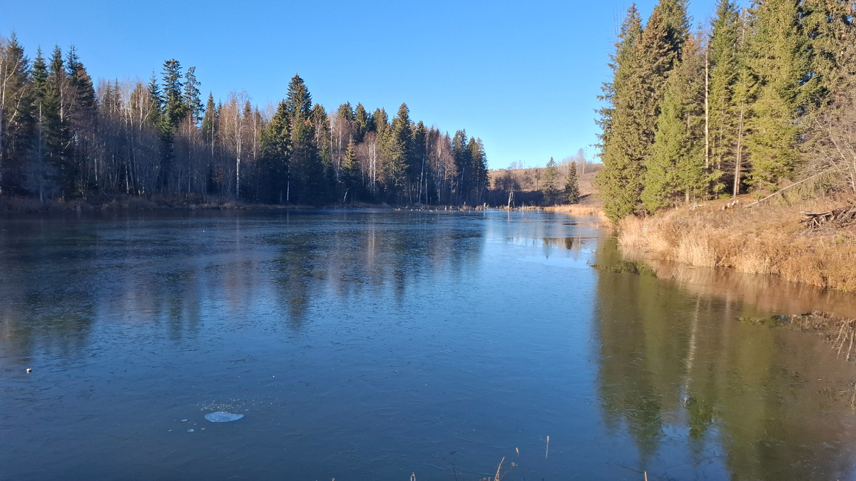 Замерзший пруд в саду.  Даже камешки покидали, но лед от них не ломался.