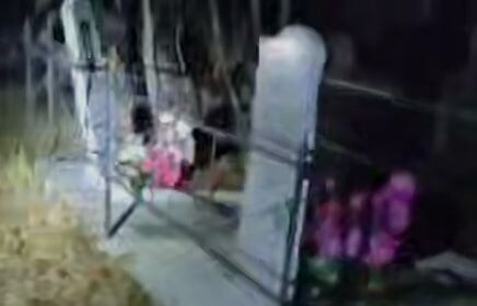     / Источник: Кадр из видео