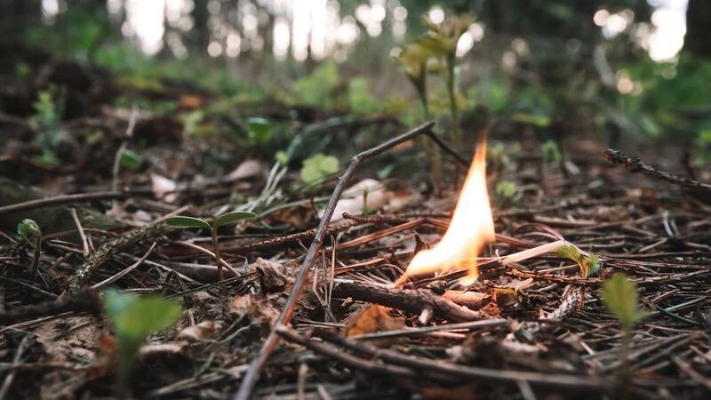    Фото: rbkomar/Shutterstock/Fotodom