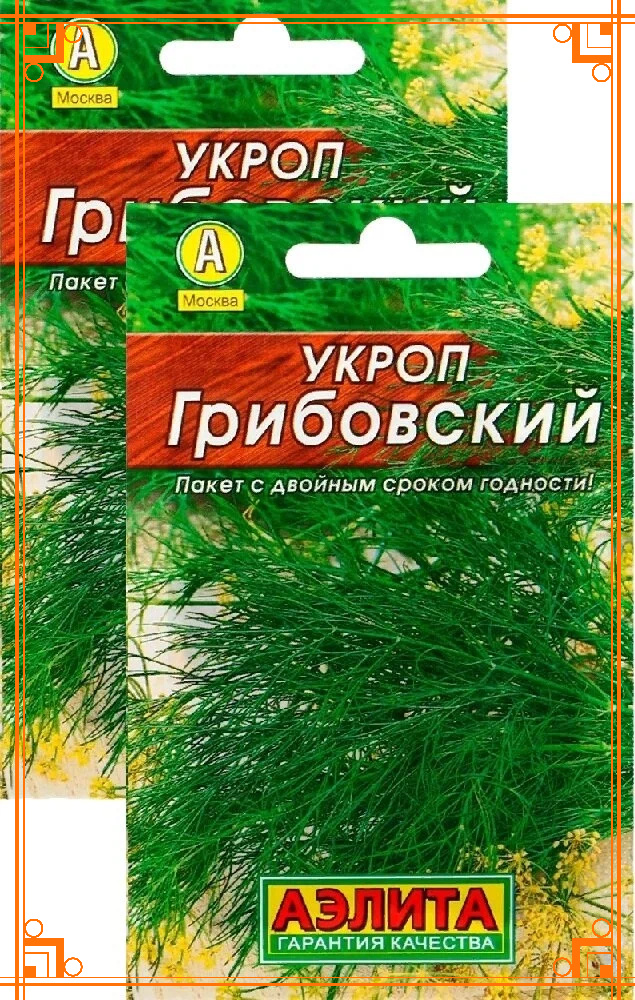 Фото из интернета. укроп грибовский