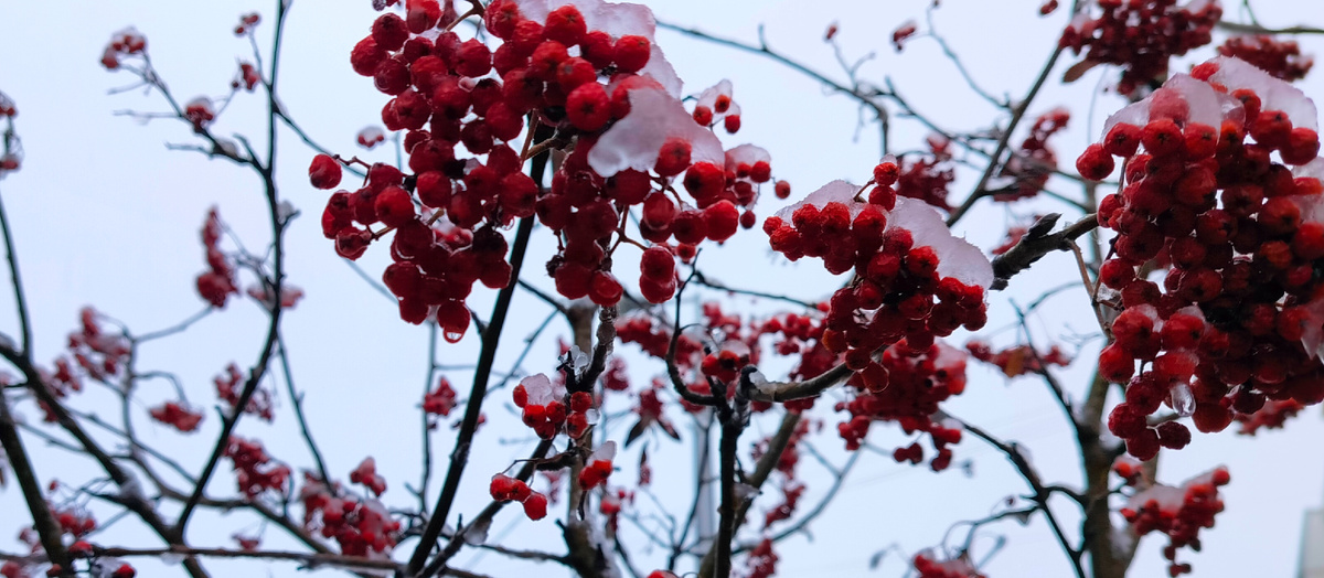 Наши поступки словно бы рождаются под счастливой или несчастливой звездой; ей они и обязаны большей частью похвал или порицаний, выпадающих на их долю.Франсуа де Ларошфуко 
