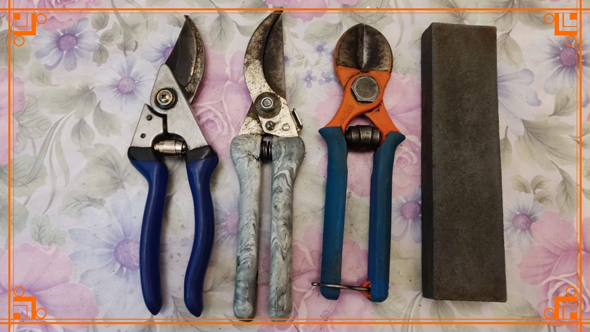 Фото из интернета. чем заняться на улице зимой