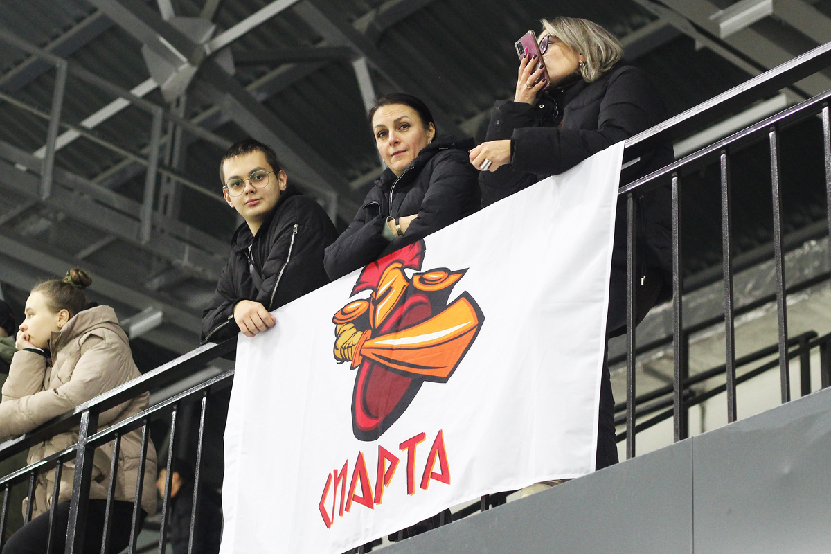 Спарта-любительский хоккейный клуб в Воронеже. Хоккейные Болельщики