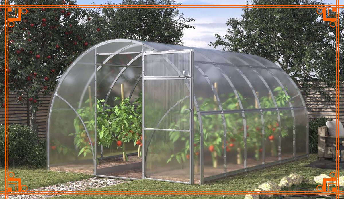 Фото из Интернета. Поликарбонатная теплица