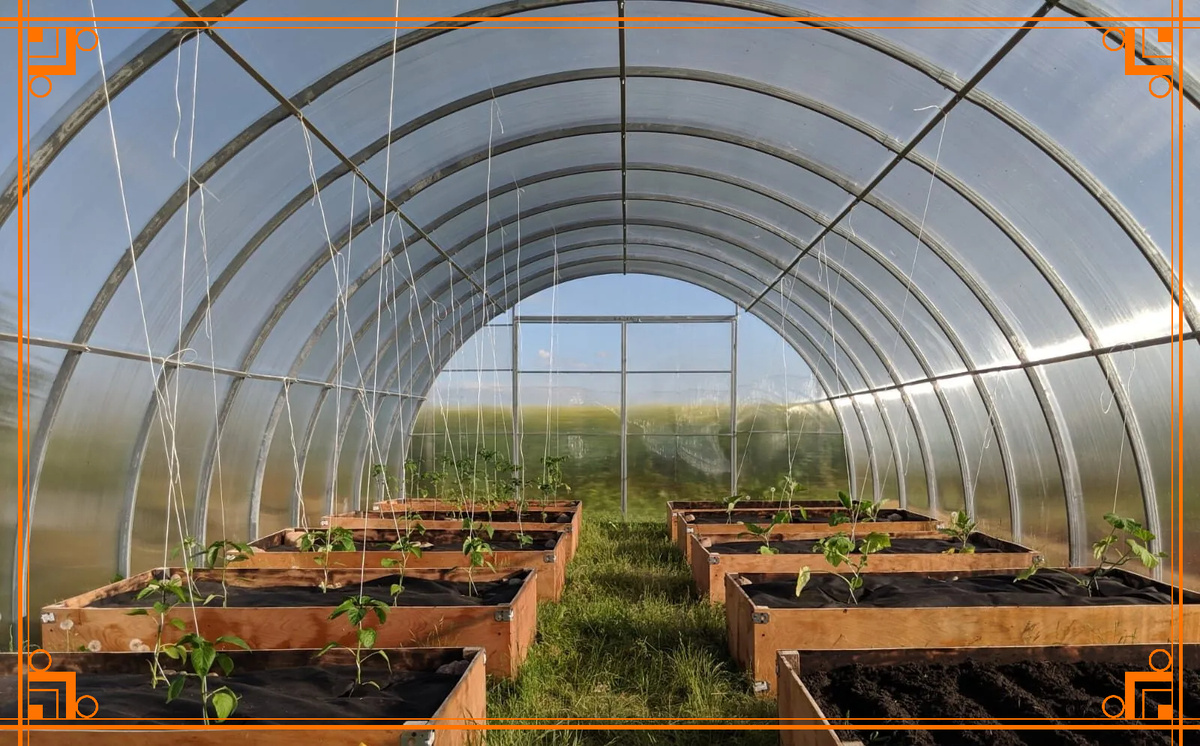 Фото из Интернета. Поликарбонатная теплица