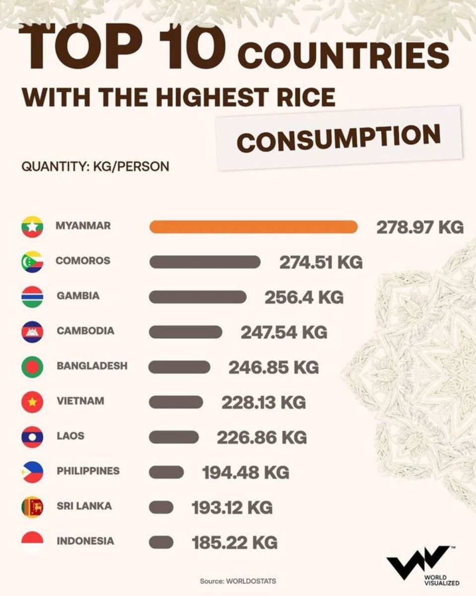    Страны-лидеры по потреблению риса на душу населения / © World Visualized
