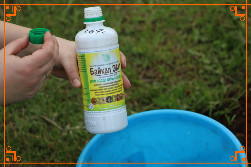 Фото из интернета. байкал эм 1 применение