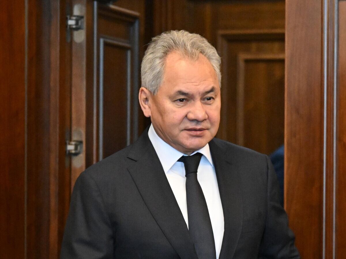    Секретарь Совета безопасности РФ Сергей Шойгу© РИА Новости / Станислав Красильников