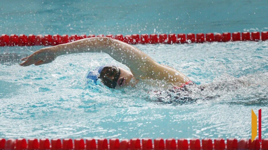    Автор фото: Андрей Архипов (из архива)