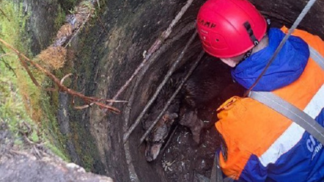 Фото: ТГ-канал "Аварийно-спасательная служба ЛО"