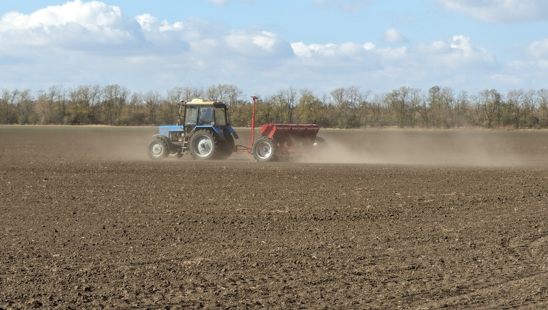     Фото: Дмитрий Ахмадуллин / / ИА «Победа26»