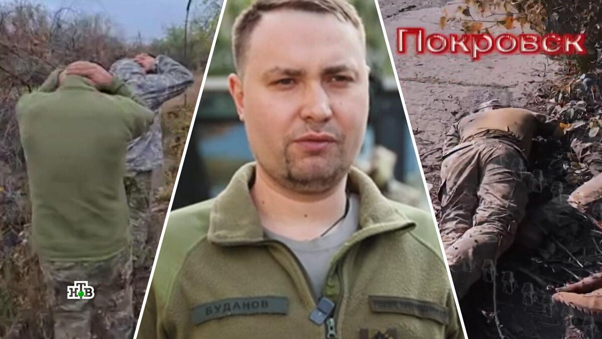    «Гвозди микроскопом забиваем»: Буданова опозорили за провал операции у Покровска