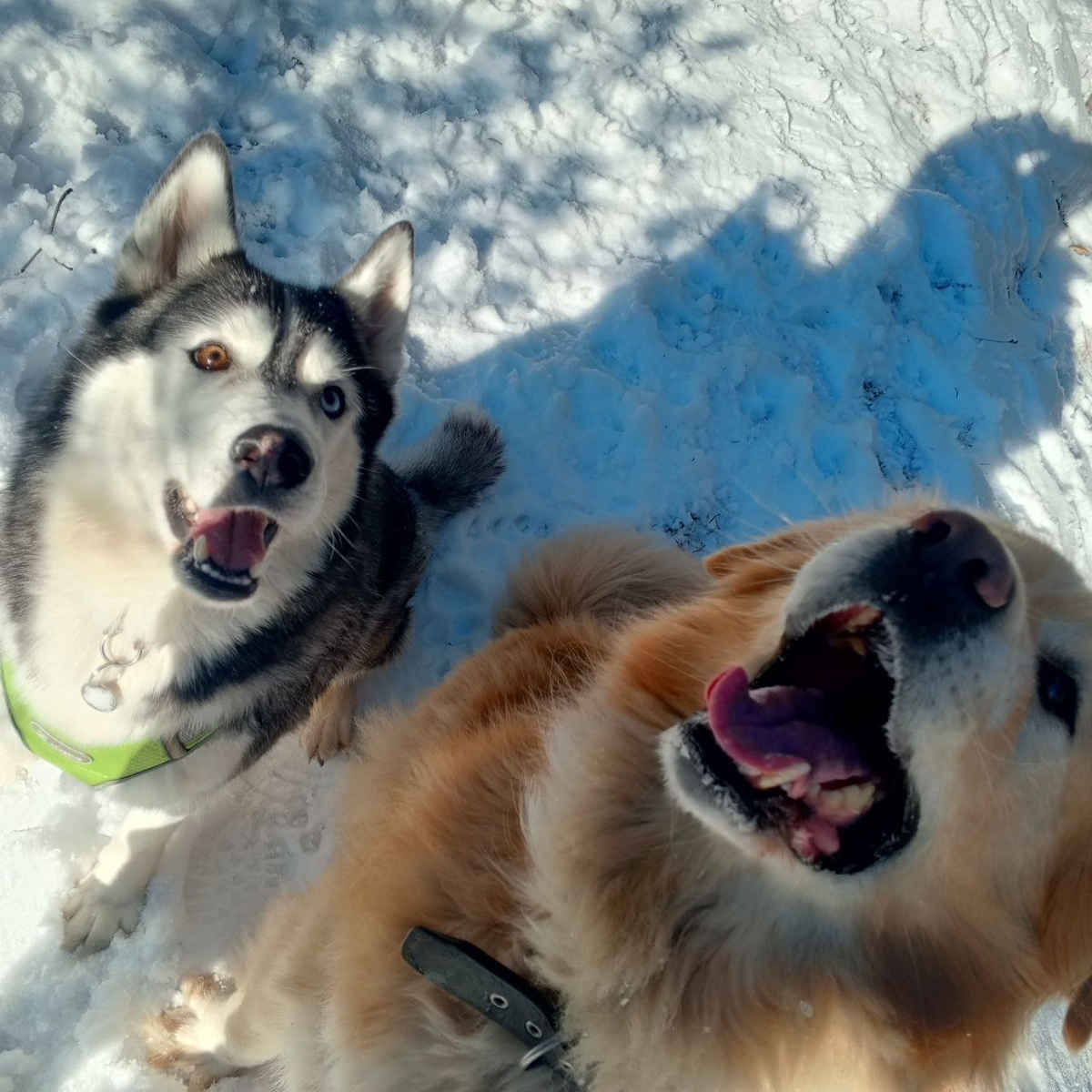 Слева Джули, справа - лучший друг